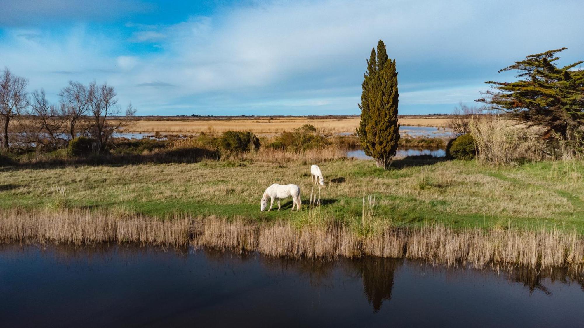 Mas Du Couvin, Maison D'Hotes En Camargue Сен Мари де ла Мер Екстериор снимка